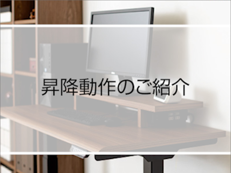 動画