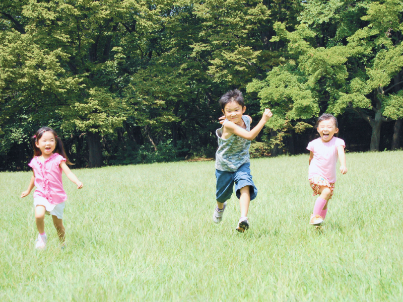 木とふれあい豊かな心を育む「思いやり」や「やさしさ」を持つこと